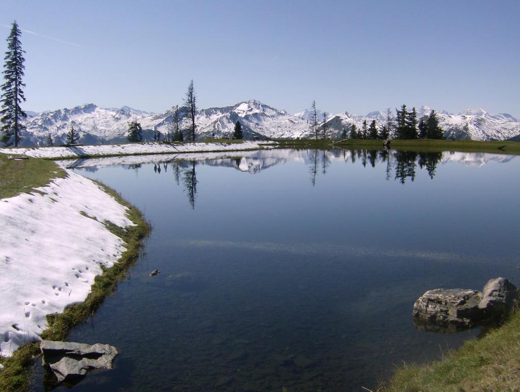 Gaestehaus Gratz - Inklusive Eintritt In Die Alpentherme Dorfgastein Eksteriør bilde